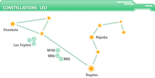 Constellation in Focus: Leo